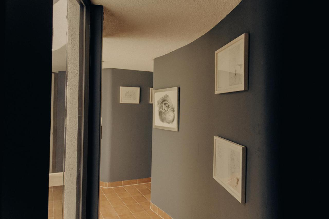 Casa Lulu Coyoacan Alvaro Obregon 外观 照片