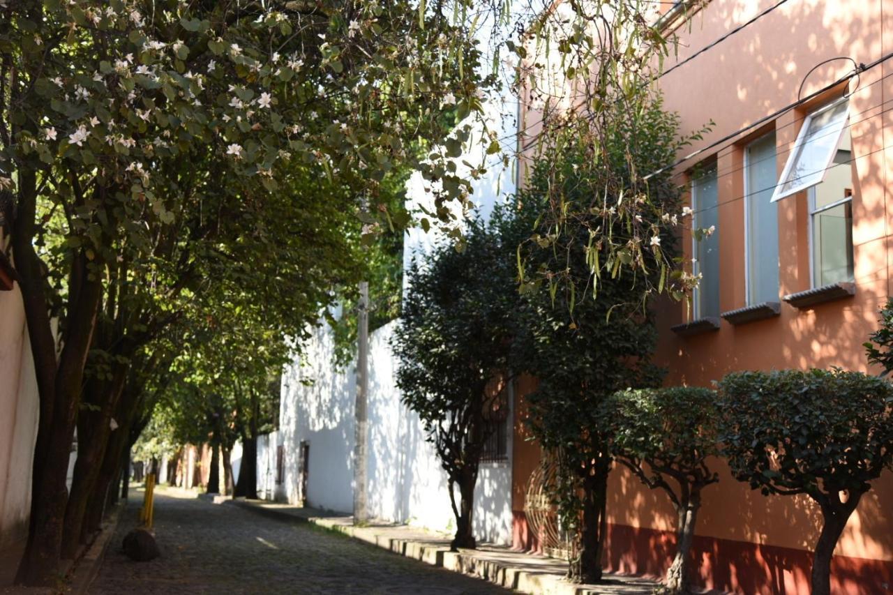 Casa Lulu Coyoacan Alvaro Obregon 外观 照片