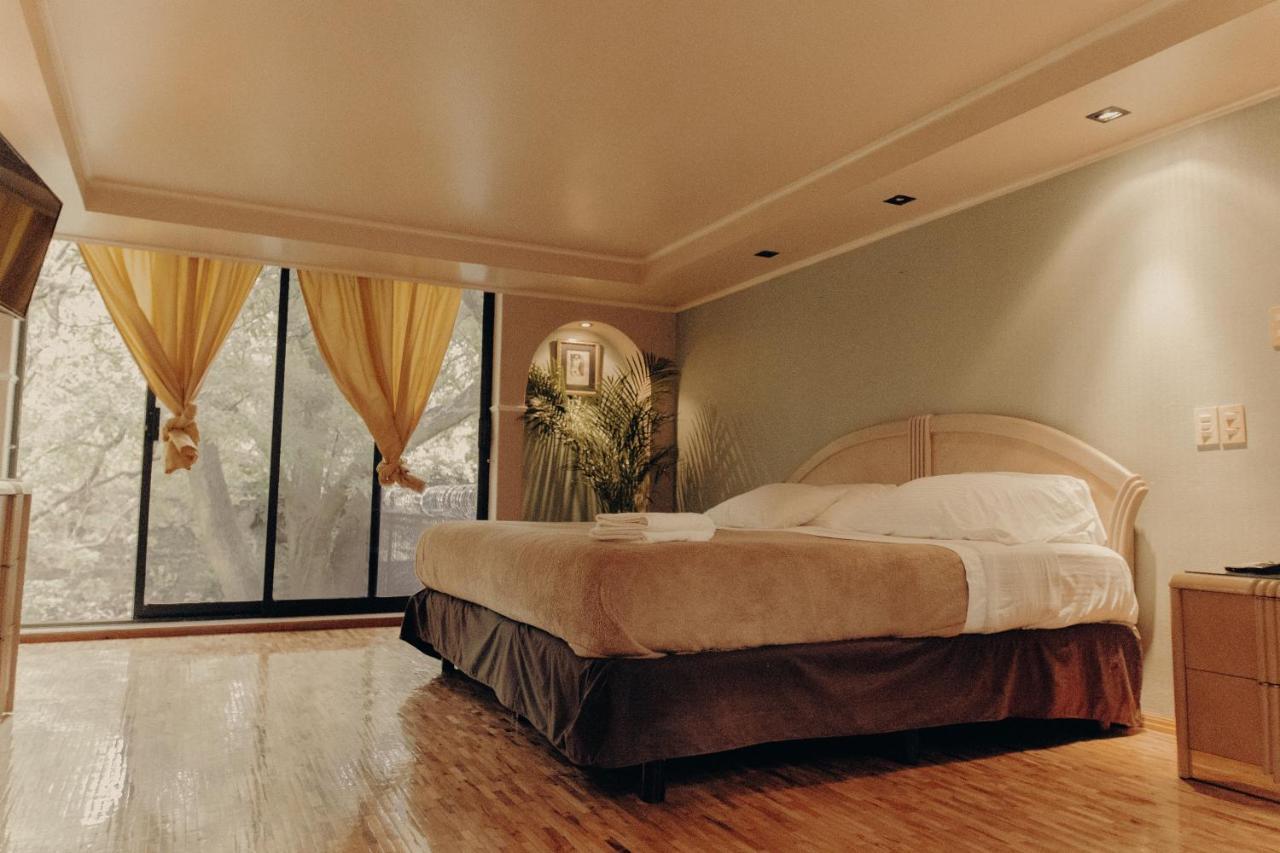 Casa Lulu Coyoacan Alvaro Obregon 外观 照片