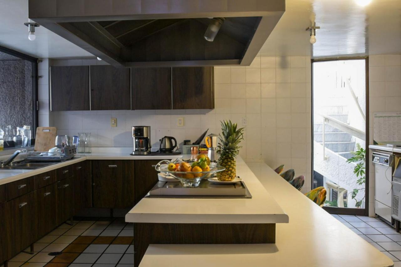 Casa Lulu Coyoacan Alvaro Obregon 外观 照片