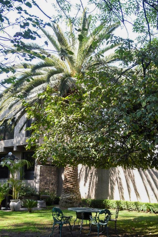 Casa Lulu Coyoacan Alvaro Obregon 外观 照片