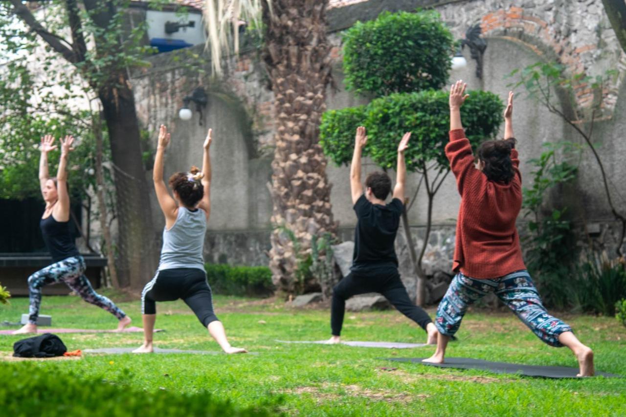 Casa Lulu Coyoacan Alvaro Obregon 外观 照片